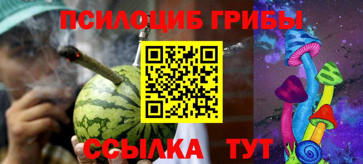 Стерлитамак  Галлюциногенные грибы ЛСД  Галлюциногенные грибы Psilocybe  Вход с VPN 